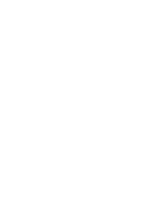 FAST ENGINEERING